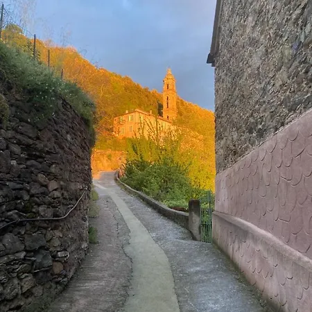 Appartement Casa Lili *