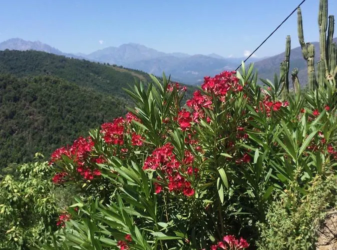 Casa Lili Apartmán *